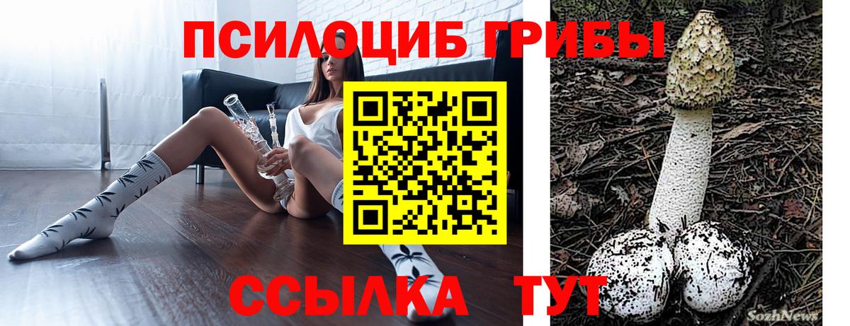 Псилоцибиновые грибы Magic Shrooms Ачхой-Мартан