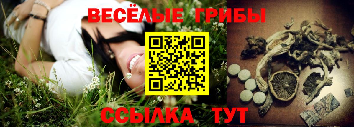 Псилоцибиновые грибы Cubensis  Псилоцибиновые грибы Magic Shrooms  Ачхой-Мартан 