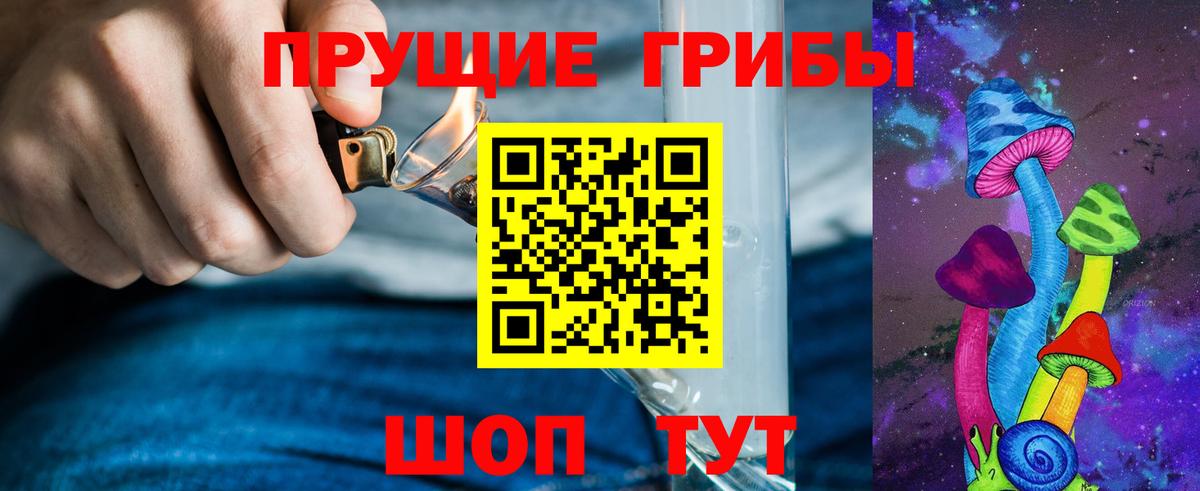 Галлюциногенные грибы Psilocybe Ачхой-Мартан