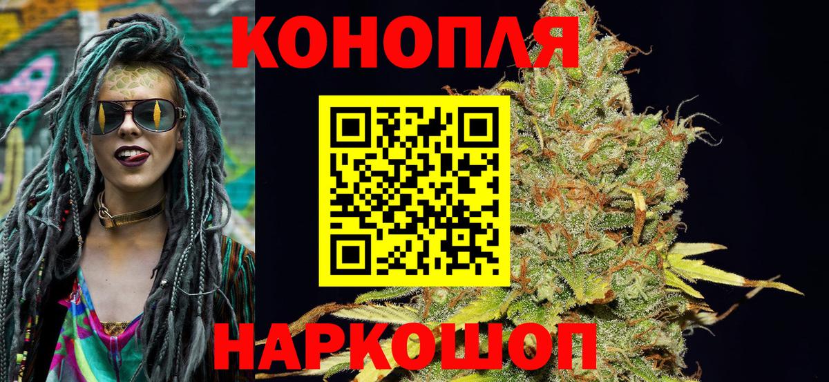 Бошки Шишки MAZAR Ачхой-Мартан